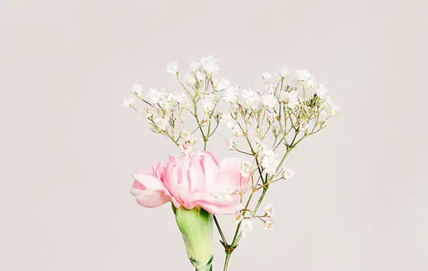 Equinox Collection — A Spotlight on Shane Griffin